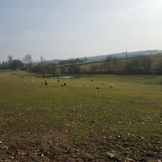 Camping à la Ferme à Vaïssac