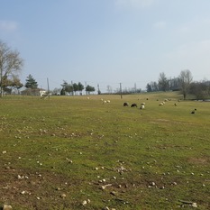 Camping à la Ferme à Vaïssac