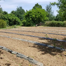 Camping à la Ferme à Vaïssac