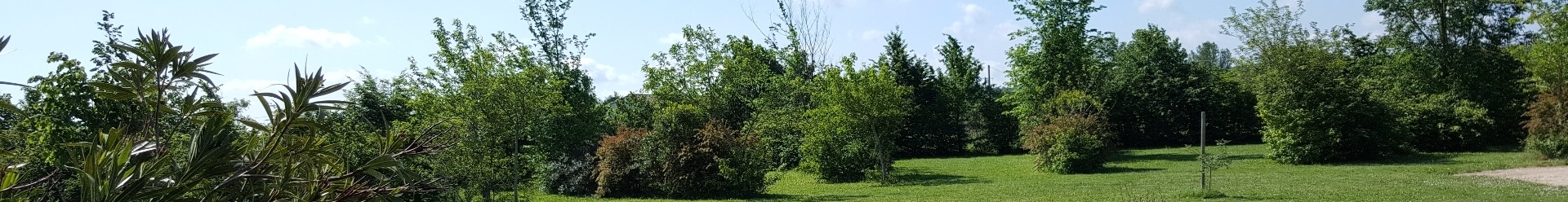 Électricité / Nature 